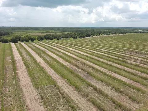 000 Kuder Ranch Rd, Haines City, FL 33844