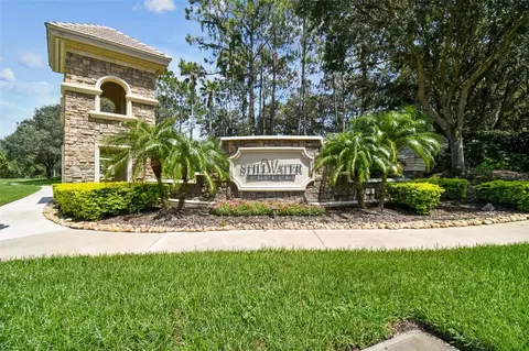 19003 Deer Point Pl, Odessa, FL 33556