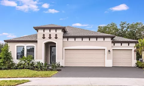 12813 Tortoise Shell Pl, Riverview, FL 33579