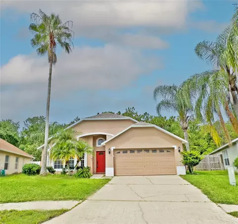 1239 Horsemint Ln, Wesley Chapel, FL 33543