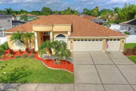 16419 Turnbury Oak Dr, Odessa, FL 33556