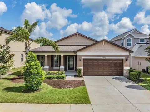30843 Pumpkin Ridge Dr, Wesley Chapel, FL 33543