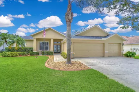 2823 Duncan Tree Cir, Valrico, FL 33594