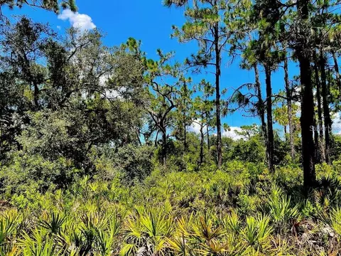 114 Ixora Dr, Indian Lake Estates, FL 33855