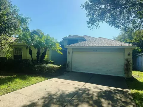 13405 Fawn Springs Dr, Tampa, FL 33626