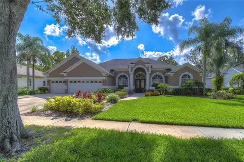 3812 S Nine Dr, Valrico, FL 33596