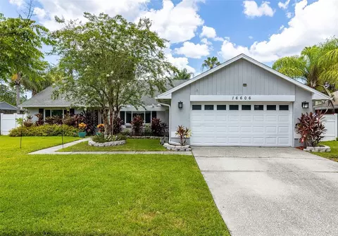 16606 Round Oak Dr, Tampa, FL 33618