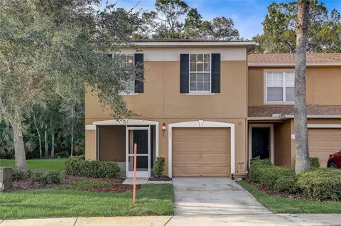 4305 Winding River Way, Land O Lakes, FL 34639