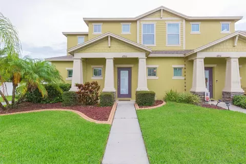 6933 Frog Pocket Pl, Tampa, FL 33616