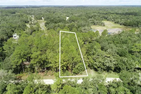 6419 Otter Dr, Webster, FL 33597