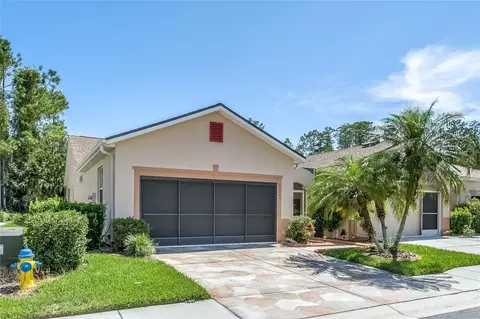 7205 Cleopatra Dr, Land O Lakes, FL 34637