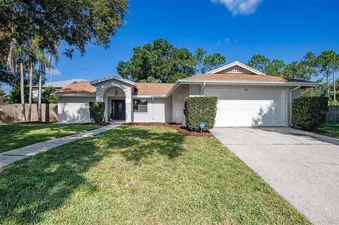 4708 Ranchway Ct, Tampa, FL 33624