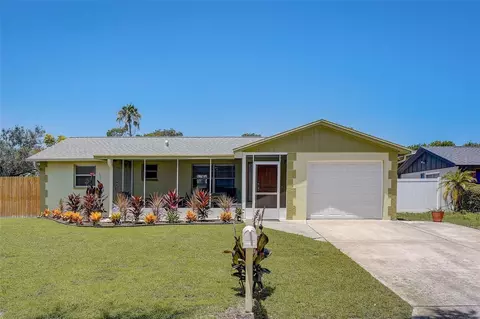 3112 Palm Ct, Dunedin, FL 34698