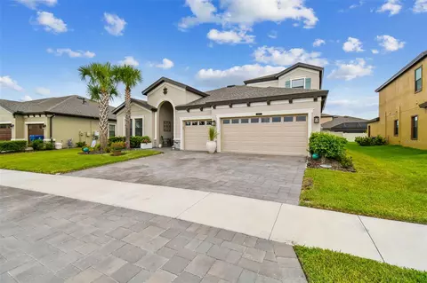 8695 Birchleaf Ct, Land O Lakes, FL 34637