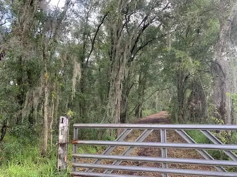 000 Mcintosh Rd, Thonotosassa, FL 33592