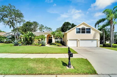 2534 Centennial Falcon Dr, Valrico, FL 33596