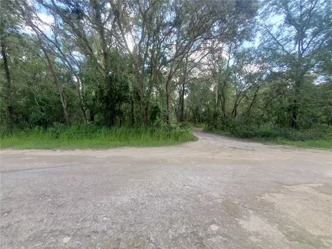 Berryhill Drive, Webster, FL 33597