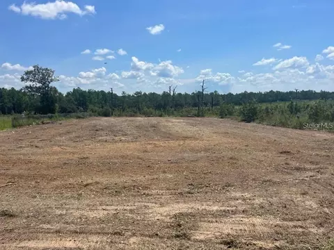 16194 Field Lark Rd, Weeki Wachee, FL 34614