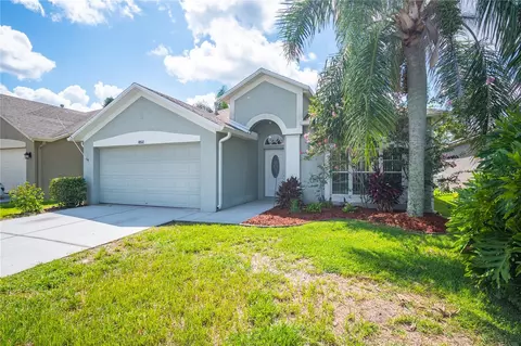 10512 Peppergrass Ct, Trinity, FL 34655