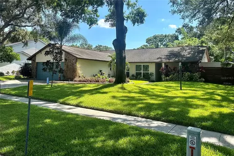 8305 La Serena Dr, Tampa, FL 33614