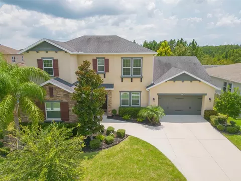 32040 Sandspirit Pl, Wesley Chapel, FL 33543