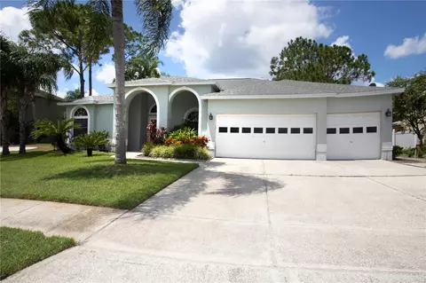 18204 Bittern Ave, Lutz, FL 33558