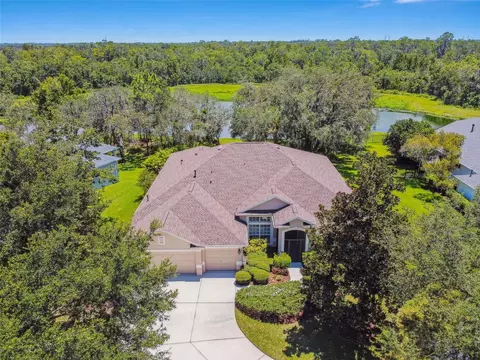 15911 Sorawater Dr, Lithia, FL 33547