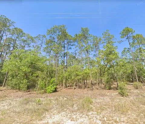 Undetermined, Dunnellon, FL 34431
