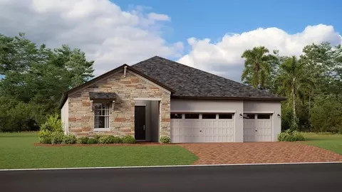 8692 Little Bluestem Dr, Land O Lakes, FL 34637