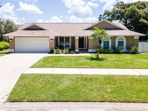 2611 Durant Woods St, Valrico, FL 33596