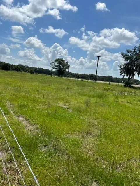 Maston Grove Lane, Dover, FL 33527