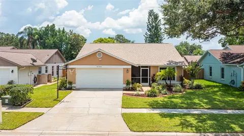 8703 Hampden Dr, Tampa, FL 33626