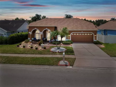 1111 Big Sky Dr, Wesley Chapel, FL 33543