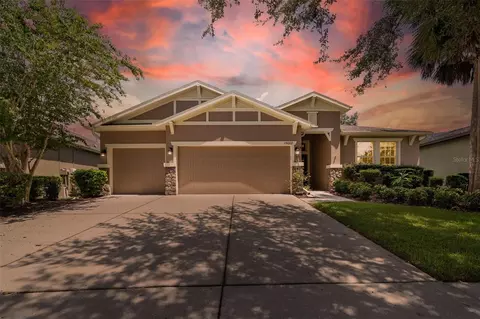 15662 Starling Water Dr, Lithia, FL 33547