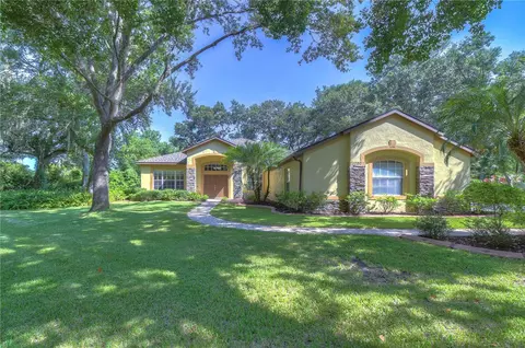 4202 Misty Grove Ct, Brandon, FL 33511