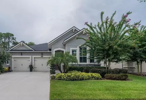13221 Baby Belle Dr, Riverview, FL 33579