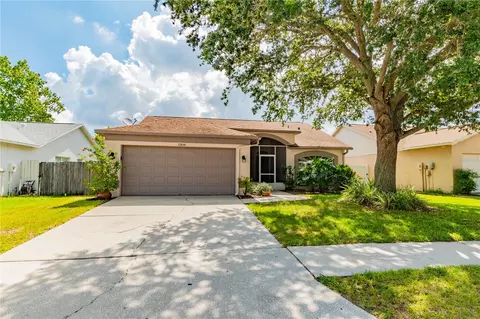 1308 Rinkfield Pl, Brandon, FL 33511