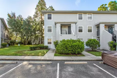 7169 E Bank Dr, Tampa, FL 33617