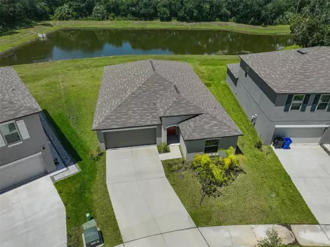 4924 Wild Senna Blvd, Tampa, FL 33619