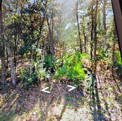 6874 W Van Buren Dr, Homosassa, FL 34448