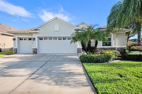 3329 Stonegate Falls Dr, Land O Lakes, FL 34638