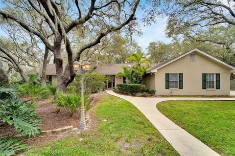 12104 Shadow Run Blvd, Riverview, FL 33569
