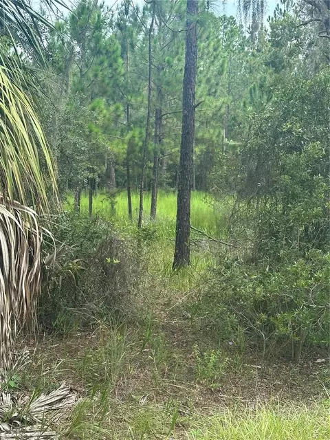 11001 W Dublin St, Crystal River, FL 34428