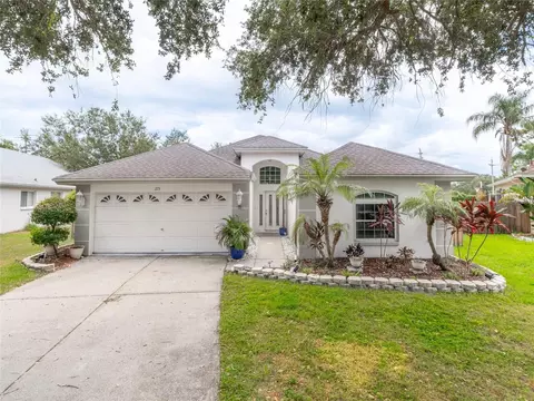 1715 Scotch Pine Dr, Brandon, FL 33511