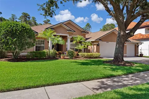 19710 Lake Osceola Ln, Odessa, FL 33556