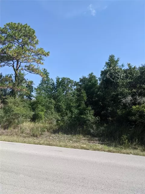 00 Little Ranch Rd, Spring Hill, FL 34610