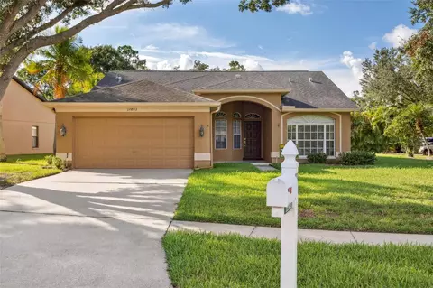 12803 Royal George Ave, Odessa, FL 33556