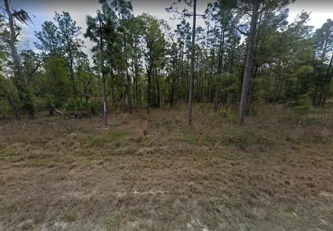 15252 Coot Rd, Weeki Wachee, FL 34614