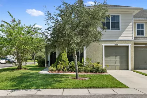 8202 Bally Money Rd, Tampa, FL 33610