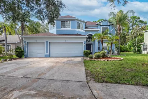 10905 Summerton Dr, Riverview, FL 33579